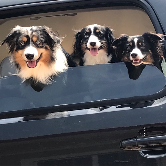 Meet your Posher, Cyann - Picture 2 of 6